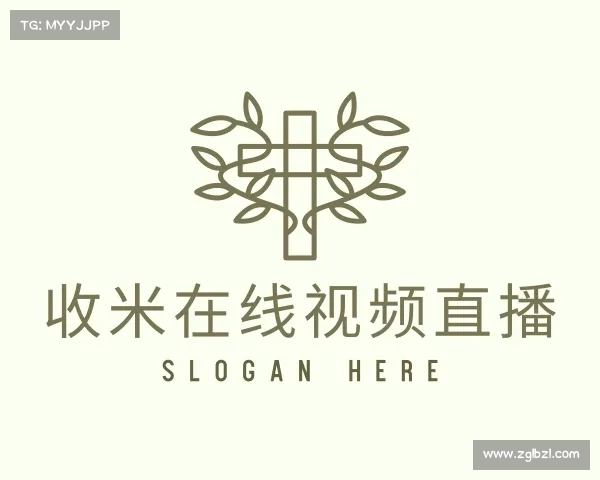 解读收米篮球直播